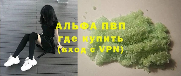 мет Алексин