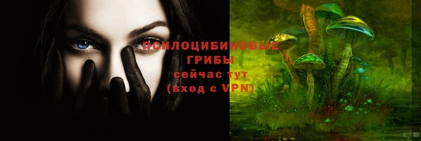 таблы Алексеевка