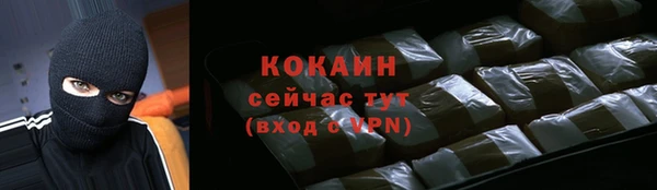 сатива Покачи