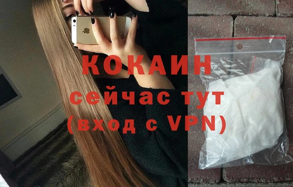 твердый Алзамай
