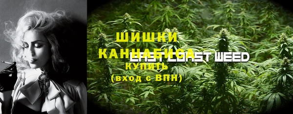 мет Алексин
