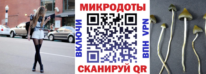 Галлюциногенные грибы Psilocybe  гидра ссылка  Боровск  купить наркотик 